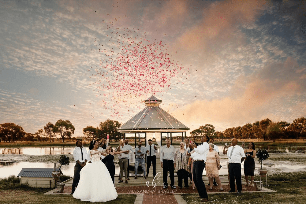 Wedding gender reveal cannon by the lake pink