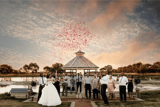Wedding gender reveal cannon by the lake pink