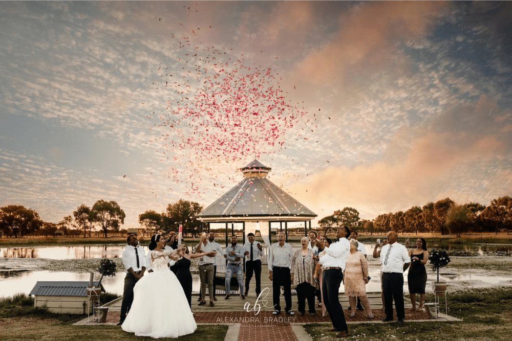 Wedding gender reveal cannon by the lake pink 